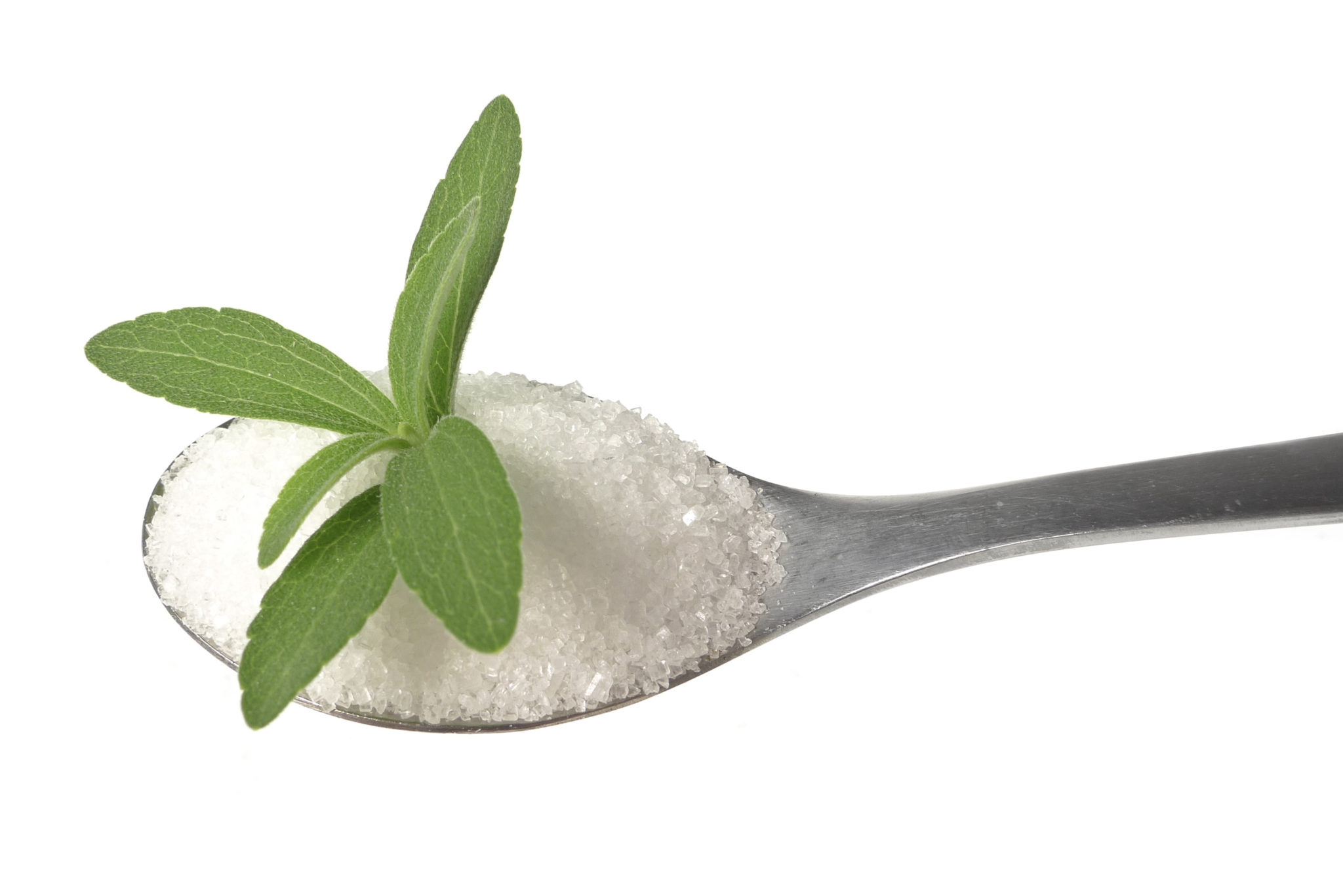 faq-s-the-authoritative-voice-for-the-stevia-industry